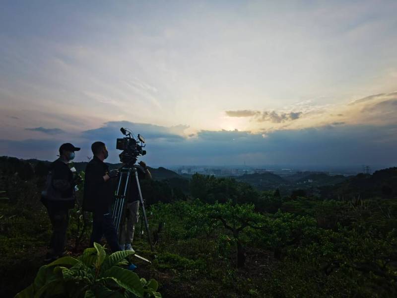 聚焦合浦县产品宣传视频拍摄公司，用专业实力铸就品牌传播传奇