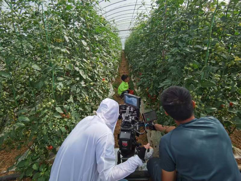 合浦县产品宣传视频拍摄公司进阶指南，助力品牌抢占传播高地